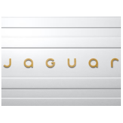 seminuevos marca Jaguar 9